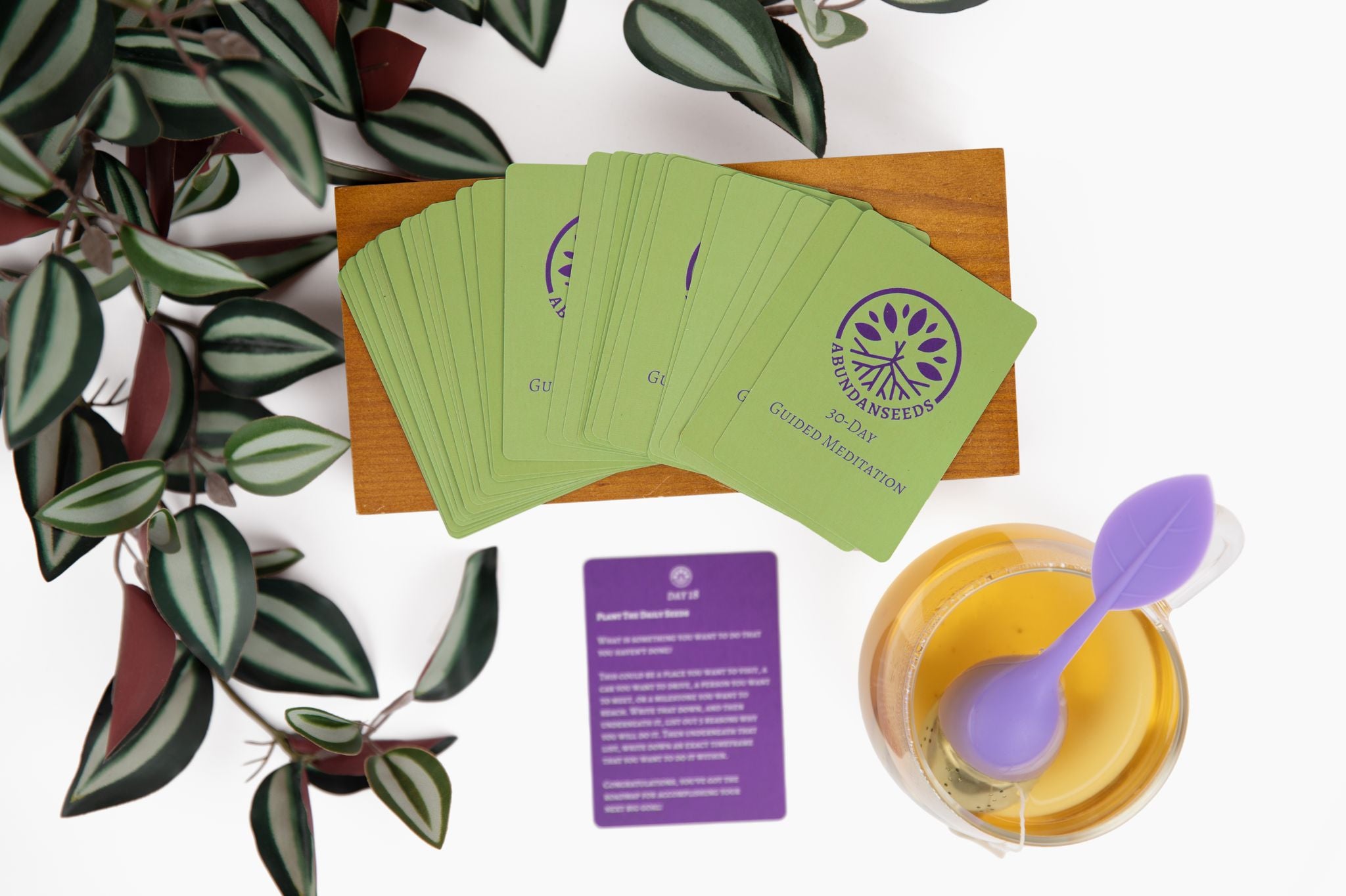 planting seeds meditation THE DAILY SEEDS 30-DAY MEDITATION DECK – Abundanseeds